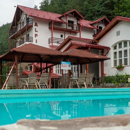 Pensiunea Alpin Păltiniş المظهر الخارجي الصورة