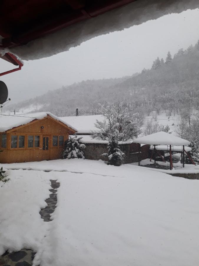 Pensiunea Alpin Păltiniş المظهر الخارجي الصورة