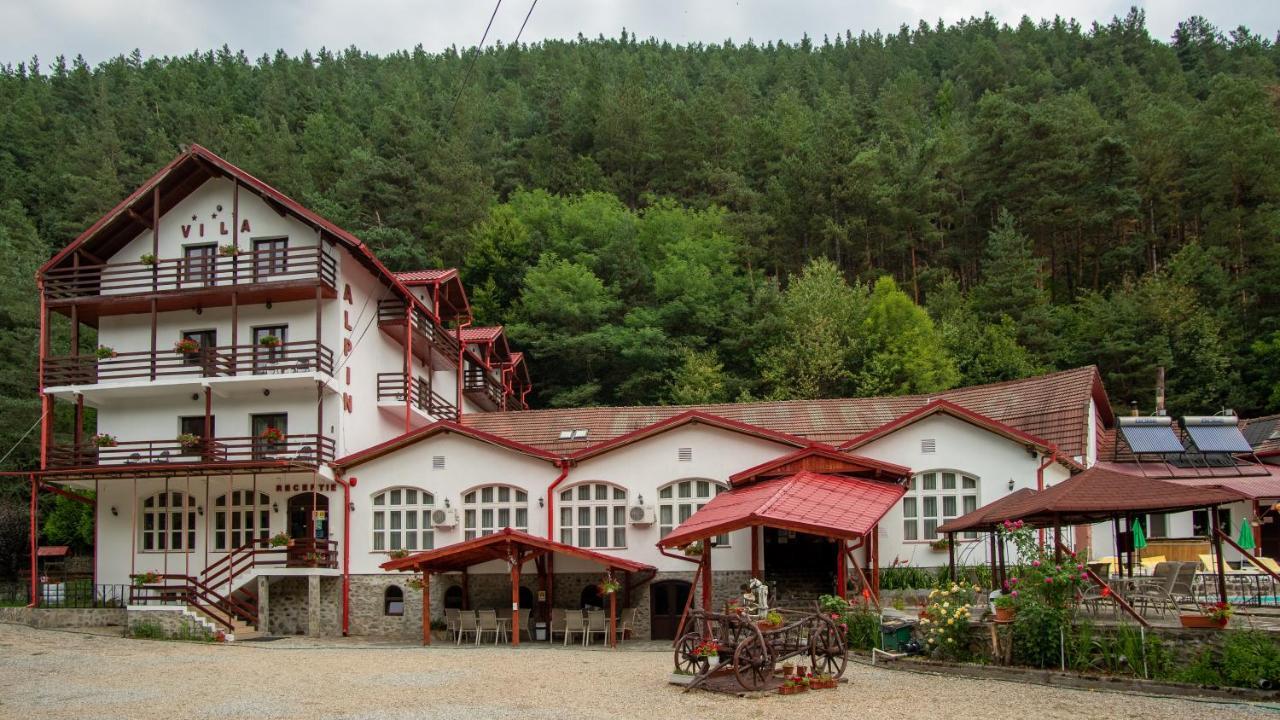 Pensiunea Alpin Păltiniş المظهر الخارجي الصورة