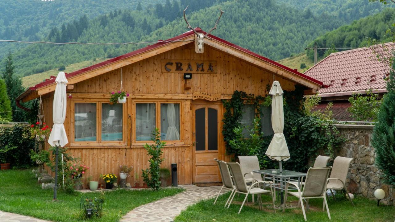 Pensiunea Alpin Păltiniş المظهر الخارجي الصورة