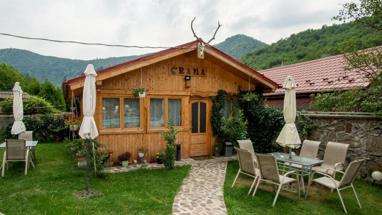 Pensiunea Alpin Păltiniş المظهر الخارجي الصورة