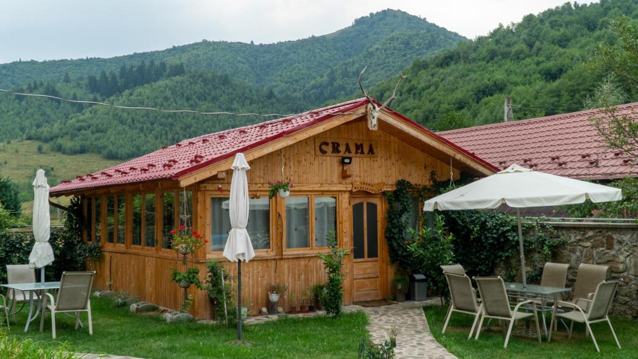 Pensiunea Alpin Păltiniş المظهر الخارجي الصورة