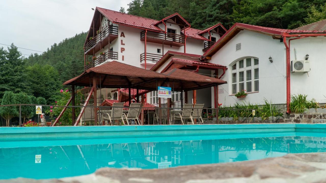 Pensiunea Alpin Păltiniş المظهر الخارجي الصورة
