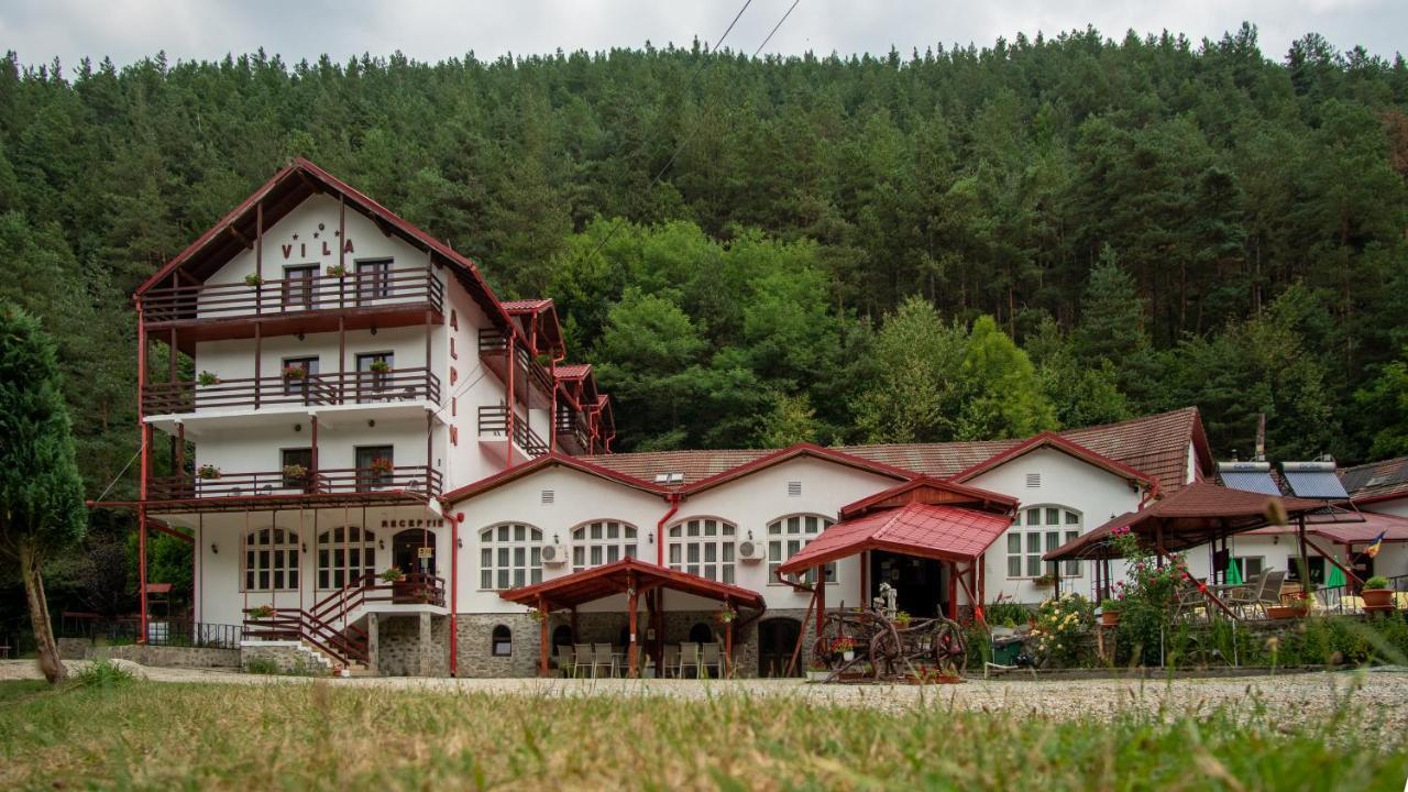 Pensiunea Alpin Păltiniş المظهر الخارجي الصورة